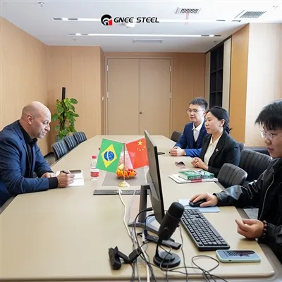 Txais tos cov neeg siv khoom Brazilian tuaj xyuas GNEE STEEL